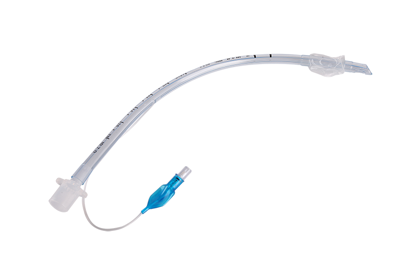 双腔带囊气管插管